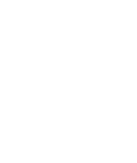 Brain Chess Academy coaching team